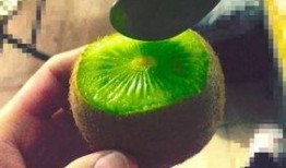 抖音网红各种吃瓜事件,揭秘娱乐圈幕后真相